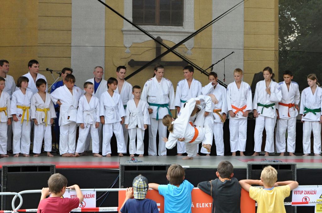 ukazky 2012__16.JPG